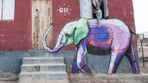 Güney Afrika'nın Gri Sokaklarına Umut ve Renk Veren Muhteşem Fil Graffitileri