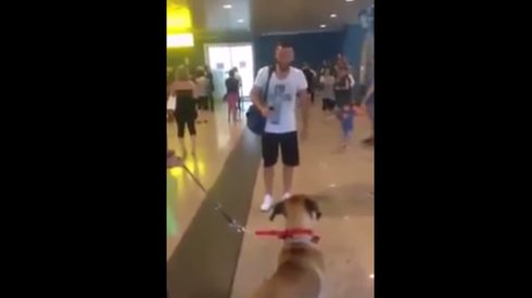 3 Yıldır Görmediği Sahibini Gören Köpeğin Yürek Burkan Tepkisi