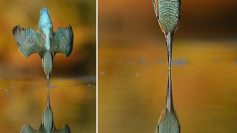6 Yıl, 4200 Saat ve 720.000 Deneme Sonunda İstediği Fotoğrafı Çekti