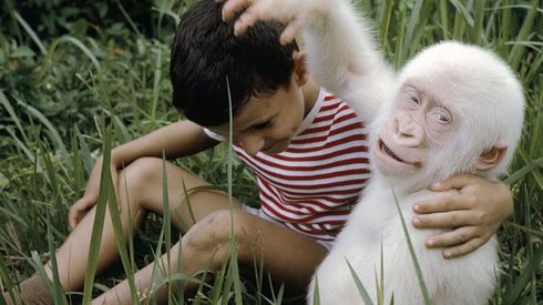 Muhteşem Görünüşlü 29 Albino Hayvan