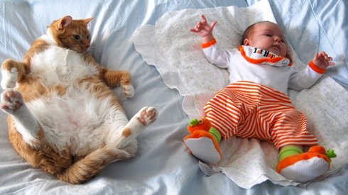 Çocuğunuzun Bir Kediye İhtiyacı Olduğunu Gösteren 21 Fotoğraf