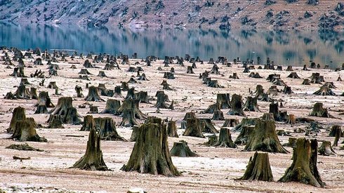Dünyanın Nereye Gittiğini Çok İyi Anlatan, 19 Sarsıcı Fotoğraf