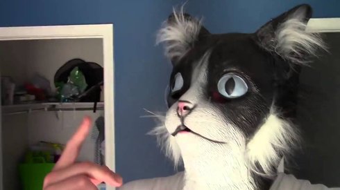 Dev Bir Kedi Maskesi Takan Adamı Gören Kediler Neye Uğradıklarını Şaşırıyor
