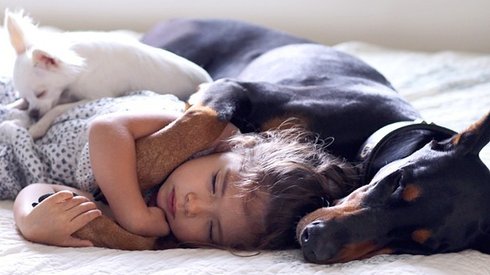 Birbirlerinin En Yakın Arkadaşı Olan Küçük Kız ve Büyük Köpekten İç Isıtan Fotoğraflar