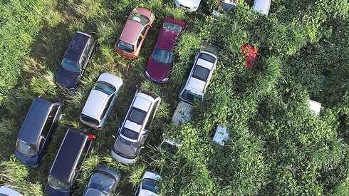 Nükleer Felaket Bölgesine Doğanın 'El Koyduğunu' Gösteren İbretlik Fotoğraflar