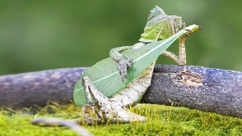 Bu Fotoğraflarda Photoshop Kullanılmadığına İnanamayacaksınız