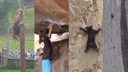 Ağzınız Açık Seyredeceğiniz 5 Tırmanma Öyküsü
